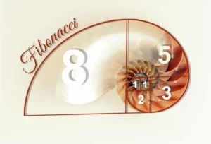 Patrón de Fibonacci en una concha marina