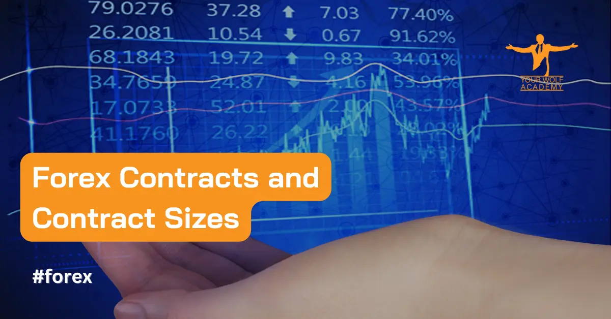 Contratos de divisas y tamaños de contrato