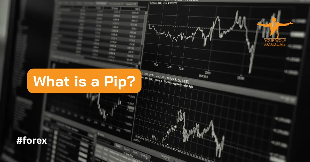 Comprender el PIP (Porcentaje en Punto) en el comercio de divisas