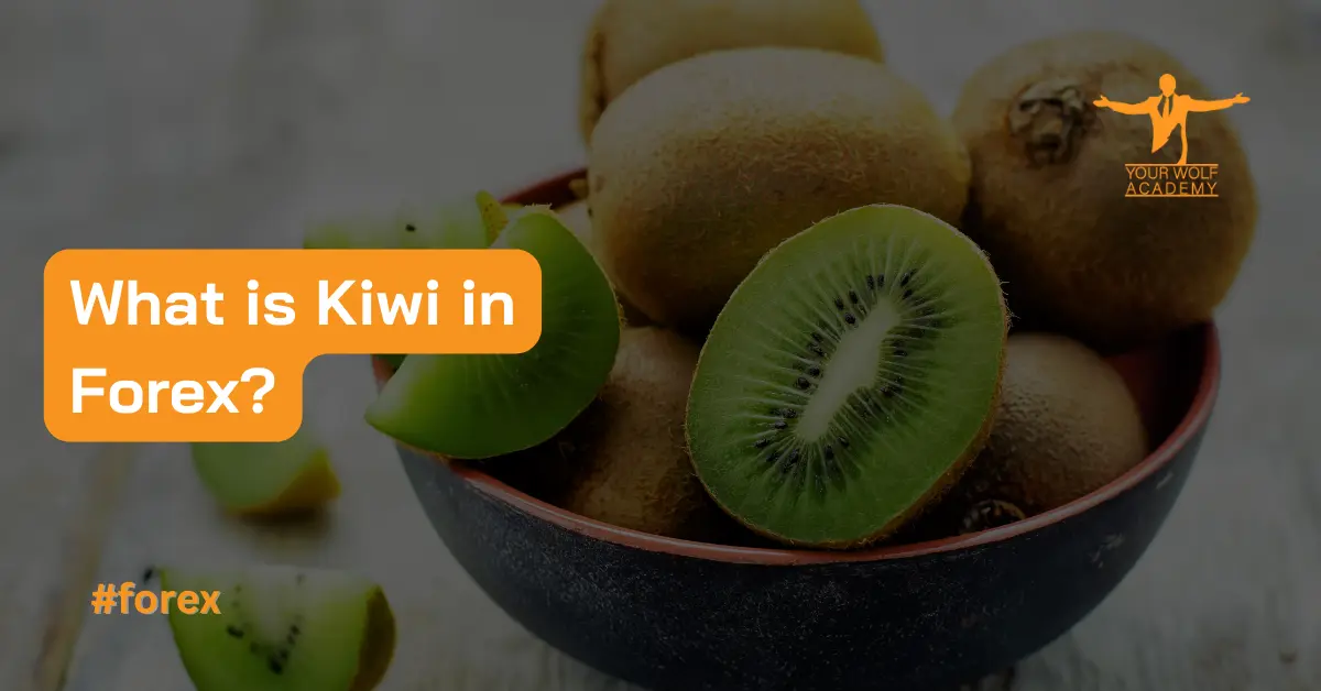 El desempeño del kiwi frente al USD: un análisis exhaustivo